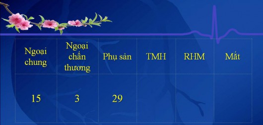 phau thuat tet at mui 2015