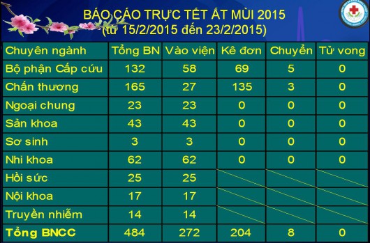 so lieu tet at mui 2015