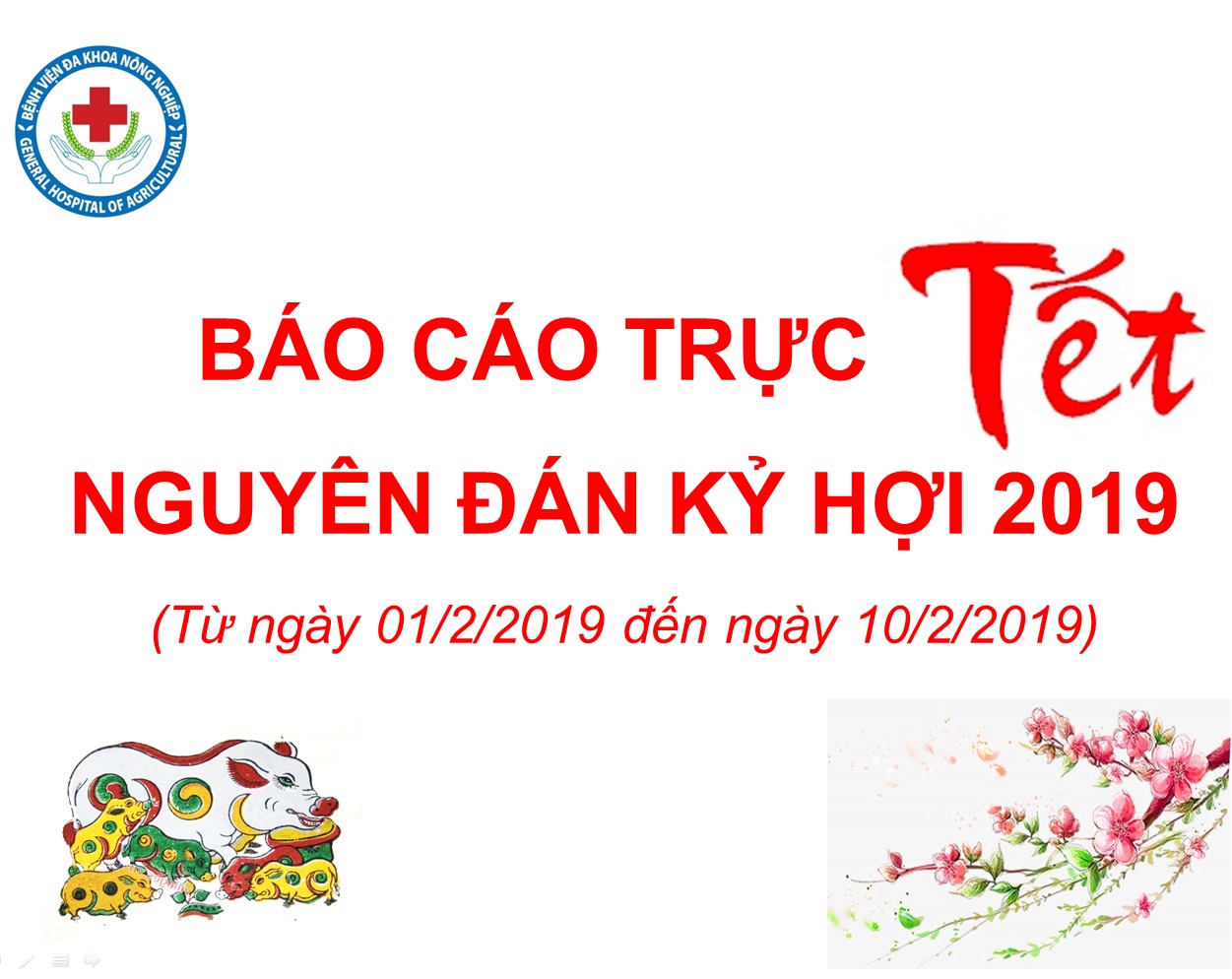 Hoạt động chuyên môn Tết Kỷ Hợi 2019 (từ ngày 01 đến 10/2/2019)