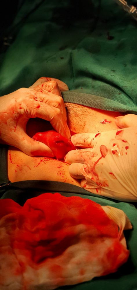 chua ngoai tu cung 2202