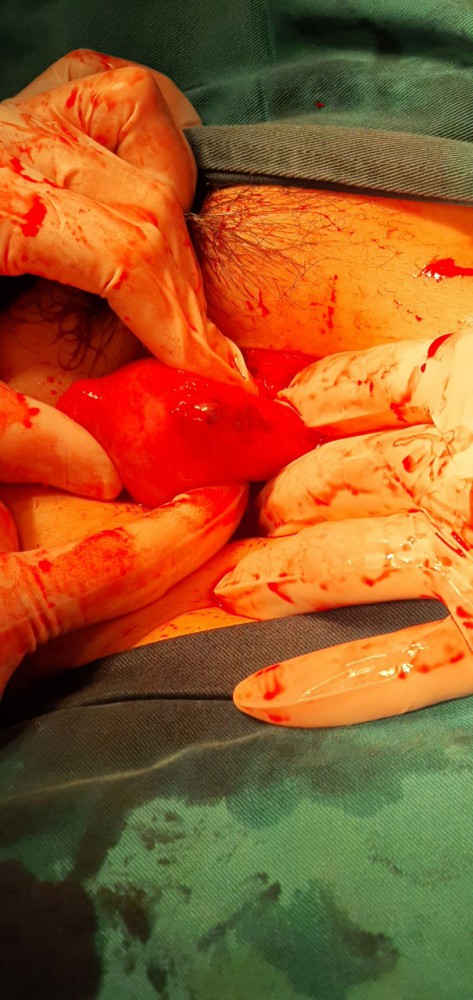 chua ngoai tu cung 220221