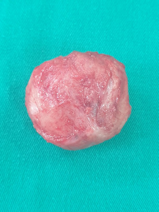 03ab134befb81ce645a9