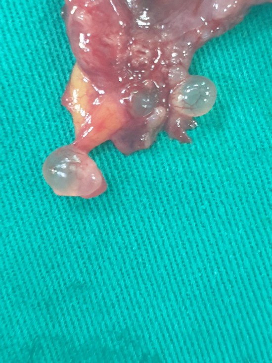 6b0a85ea79198a47d308