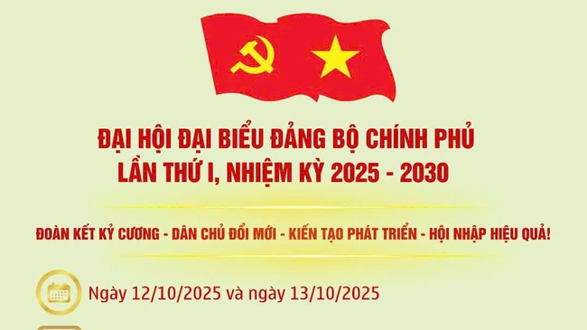 Đại hội đại biểu Đảng bộ Chính phủ lần thứ I, nhiệm kỳ 2025-2030